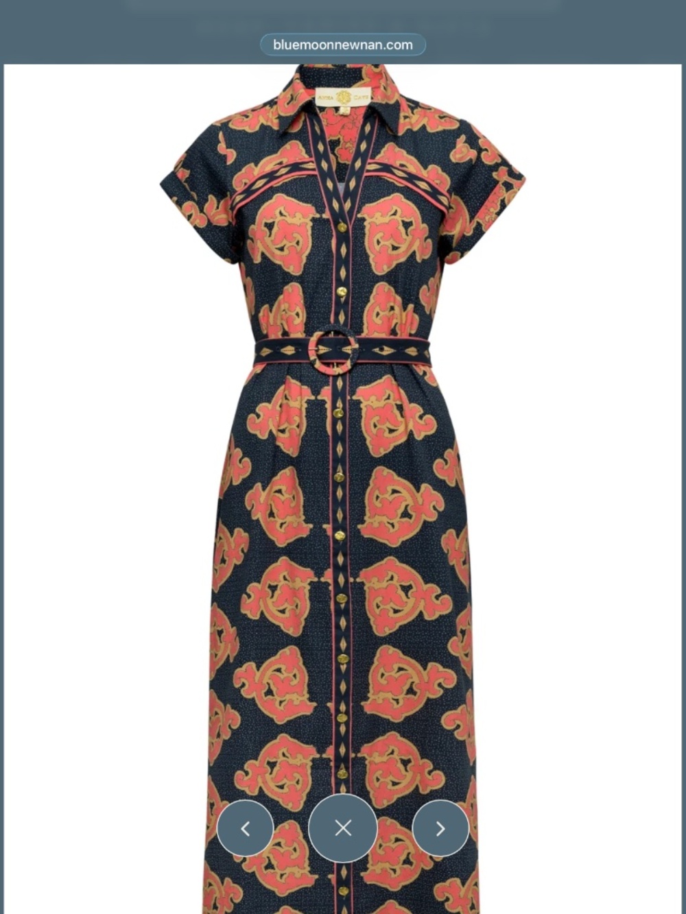 NWT Anna Cate Iva dress size medium - Picture 1 of 6